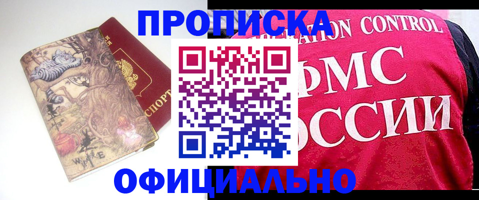 прописка в квартире в Большом Камне
